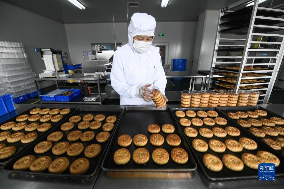 捕鱼单机电脑版下载